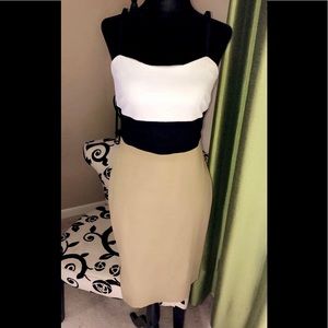 Banana Republic dress NWT
